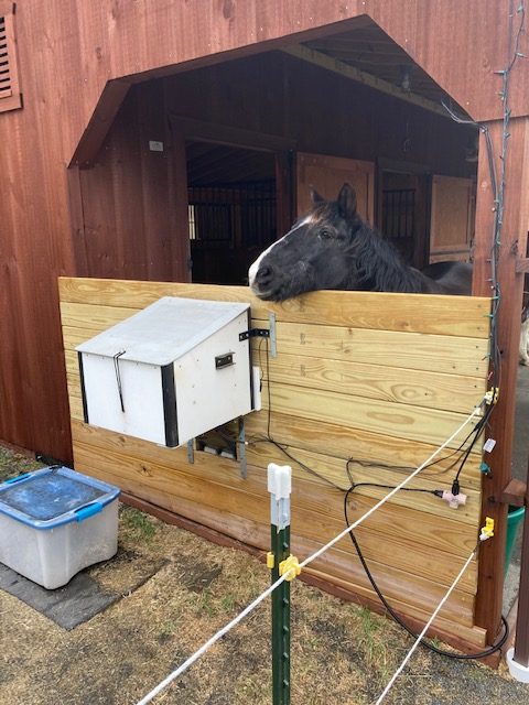 x5cd Automatic feeder installed