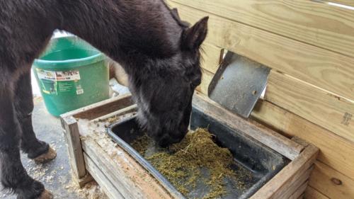 Feeder setup at our stable